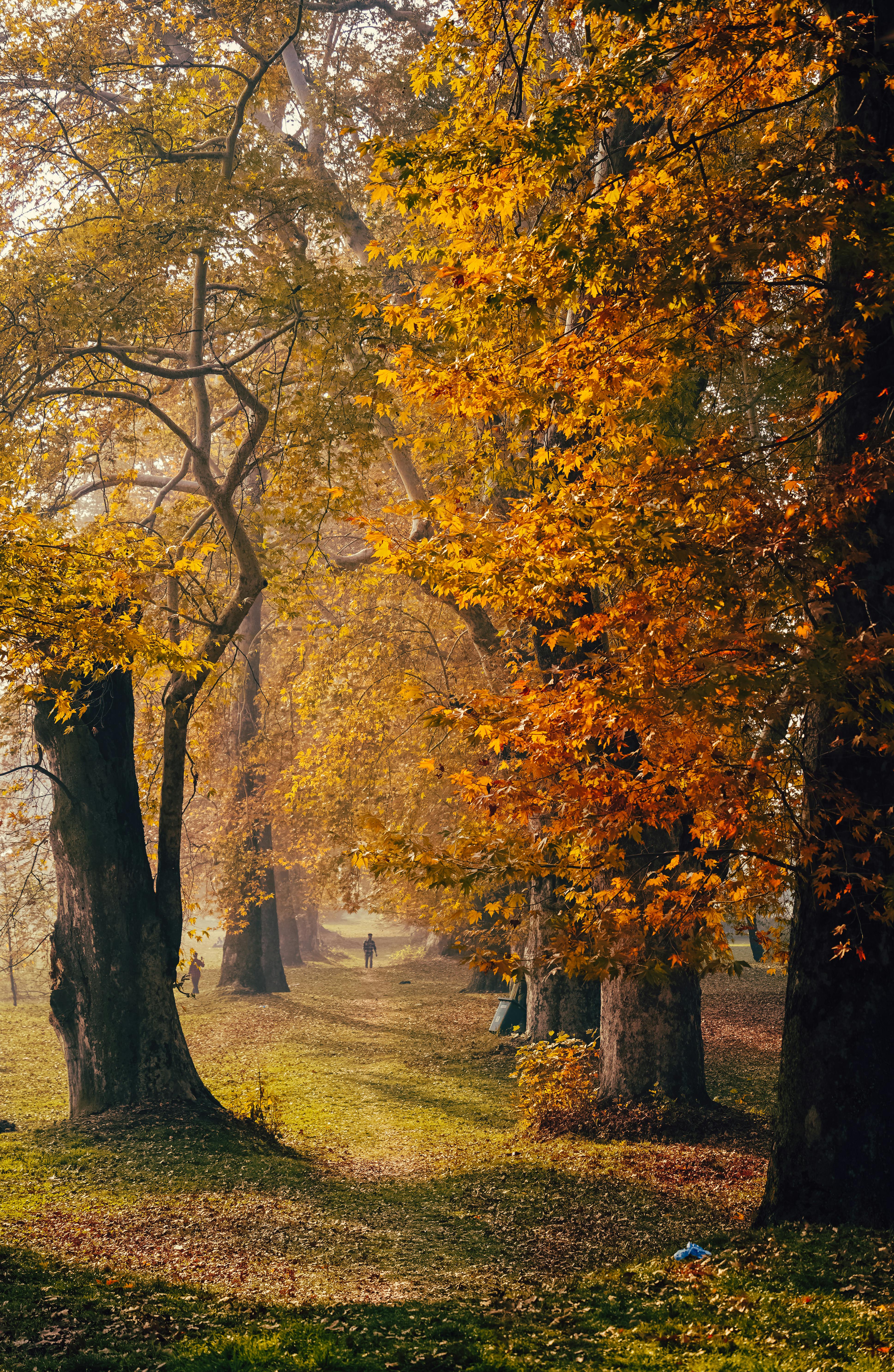 Luxury Kashmir Package